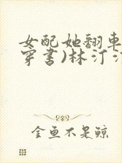 女配她翻车了(穿书)林汀汀