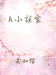 h小说家