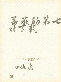 蔷薇的第七夜txt下载