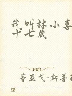 我叫林小喜今年十七岁