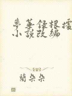 梦华录根据什么小说改编