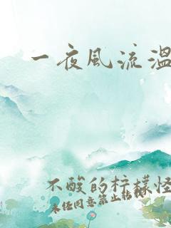 一夜风流温暮生