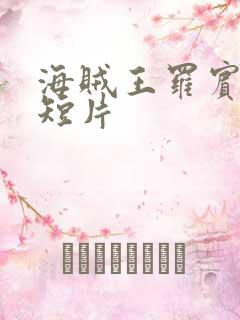 海贼王罗宾被h短片