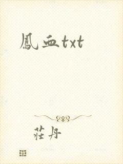 凤血txt
