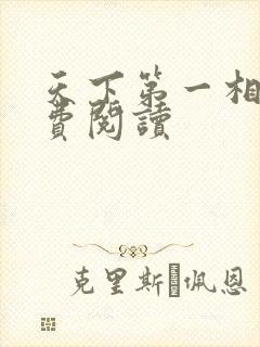 天下第一相书免费阅读