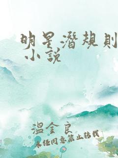 明星潜规则之皇 小说