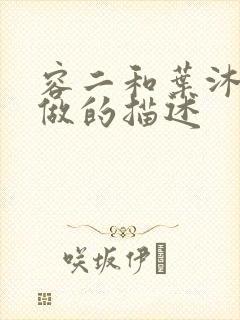 容二和叶沐走着做的描述