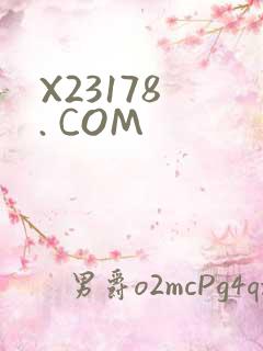 X23178 . COM