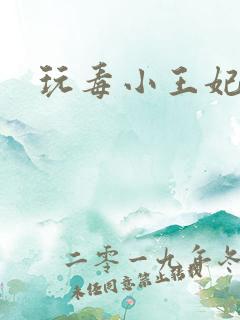 玩毒小王妃