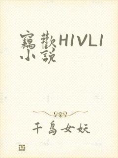 窃欢H1VL1小说