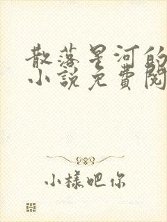 散落星河的记忆小说免费阅读全文