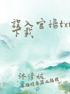 误入官场txt下载