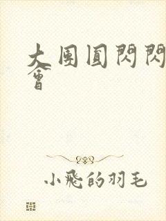 大团圆闪闪相亲会