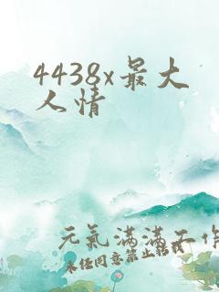 4438x最大人情
