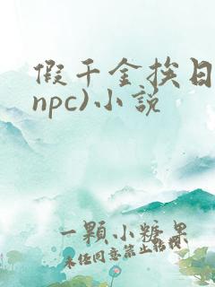 假千金挨日记(npc)小说