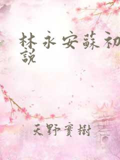 林永安苏初雪小说