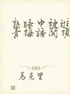 熟睡中被进了H青梅诱哄视频