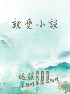 就爱小说