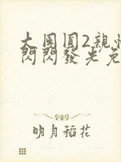 大团圆2亲情会闪闪发光免费