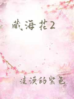 藏海花2