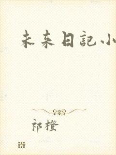 未来日记小说