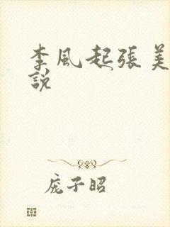 李风起张美丽小说