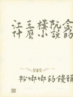 江玉楼阮念笙是什么小说的名字