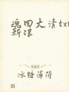魂回大清txt新浪