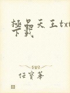 极品天王txt下载