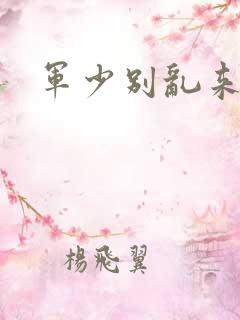 军少别乱来