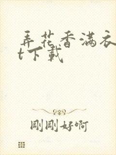 弄花香满衣txt下载