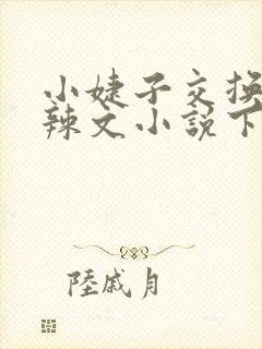 小婕子交换系列辣文小说下载