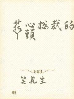 花心总裁的小小丫头