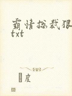 霸情总裁狠狠爱txt