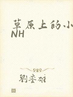 草原上的小公主NH