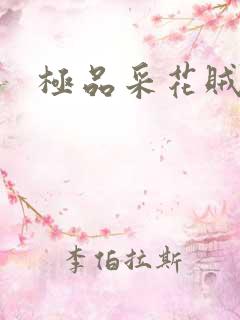 极品采花贼
