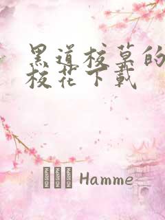 黑道校草的黑道校花下载