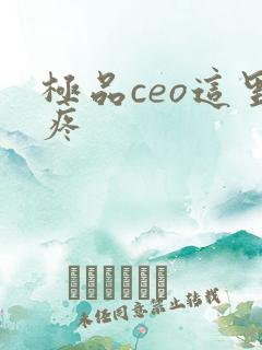 极品ceo这里疼