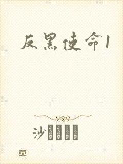 反黑使命1