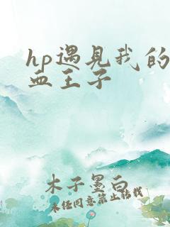 hp遇见我的混血王子