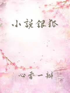 小说银狐