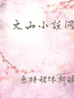 文山小说网