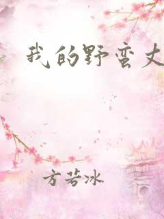 我的野蛮丈夫