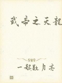 武帝之天龙八部