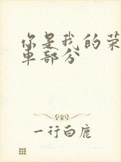 你是我的荣耀开车部分