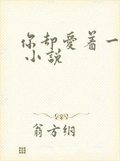 你却爱着一个他 小说