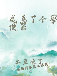 成为了全学校坐便器