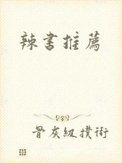 辣书推荐