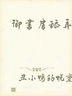 御书房舔弄花心