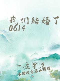 我们结婚了130614